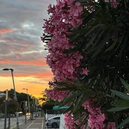 Eldorado * Lido di Pomposa
